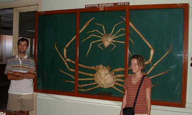 27